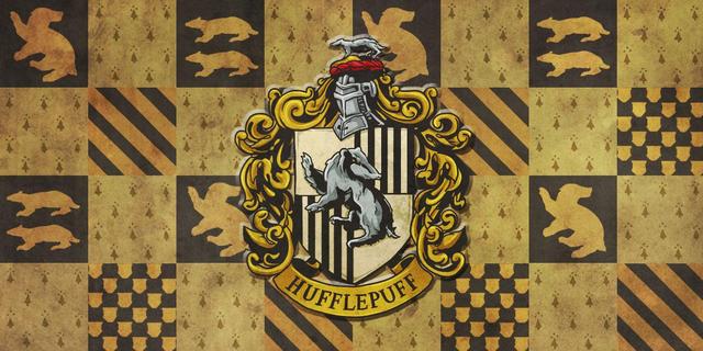 《哈利·波特》霍格沃兹入学指南，四大学院你最想去哪个学院呢？