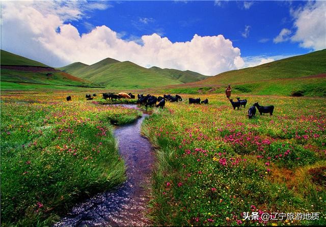 曲靖有三个好玩的地方，其中之一被誉为“云南的新西兰”