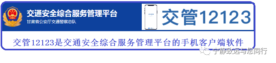 驾驶证查询网,驾驶证查询网上查询系统