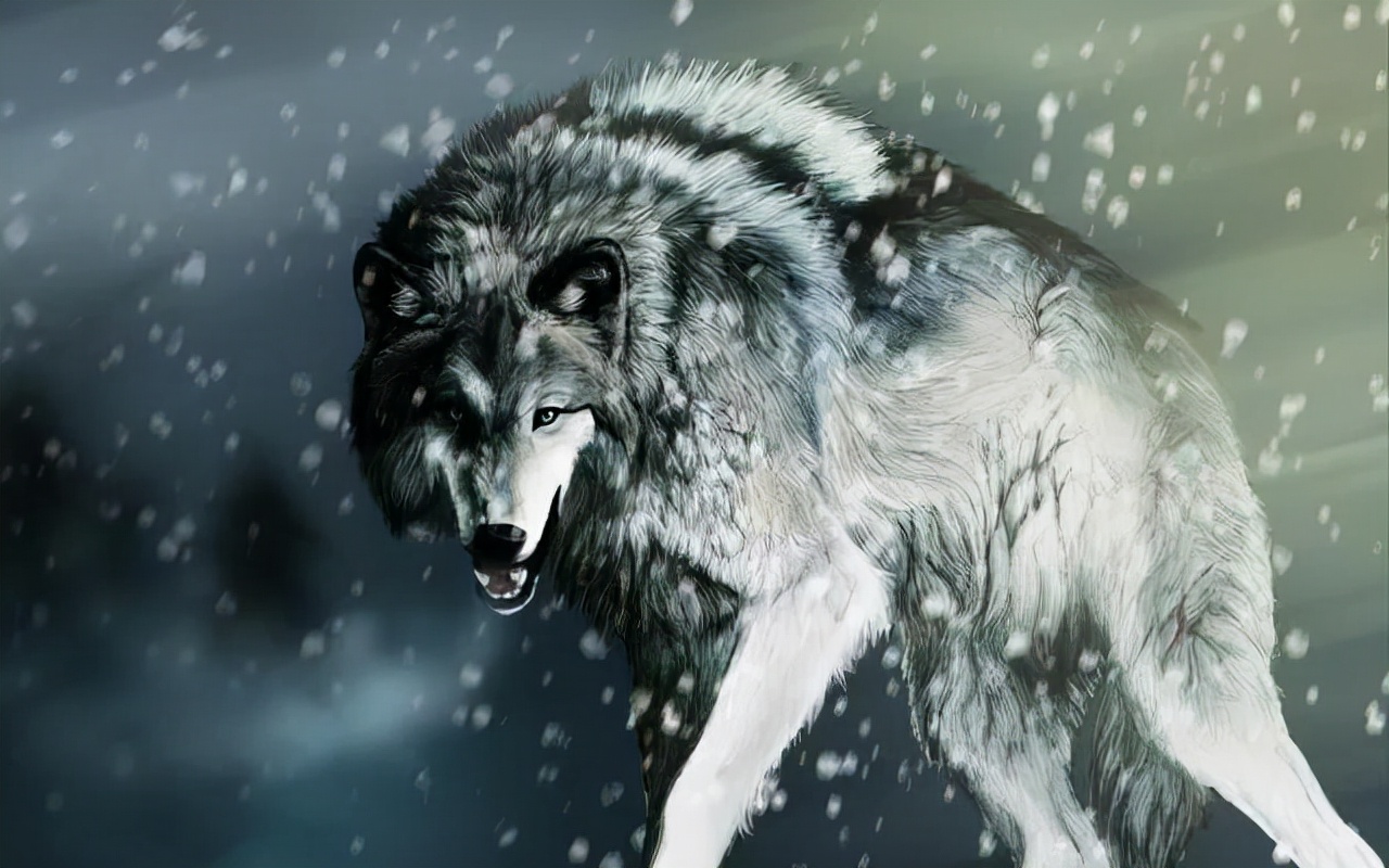 狼群故事:白毛狼王击败黑狼,带花狗重返狼群,产下一只鬼面獒犬