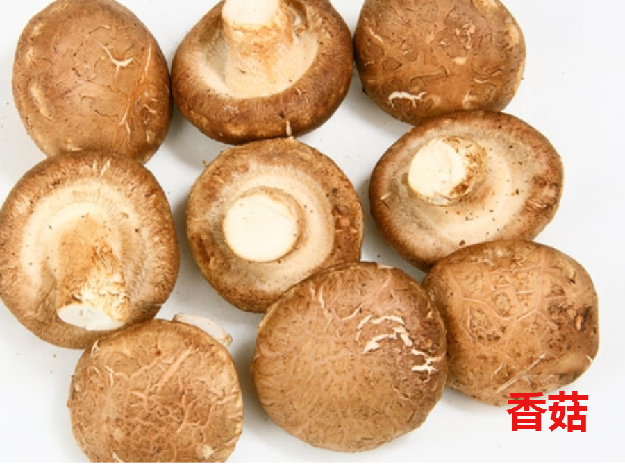 菌菇种类图片(香菇) - 赤虎壹号