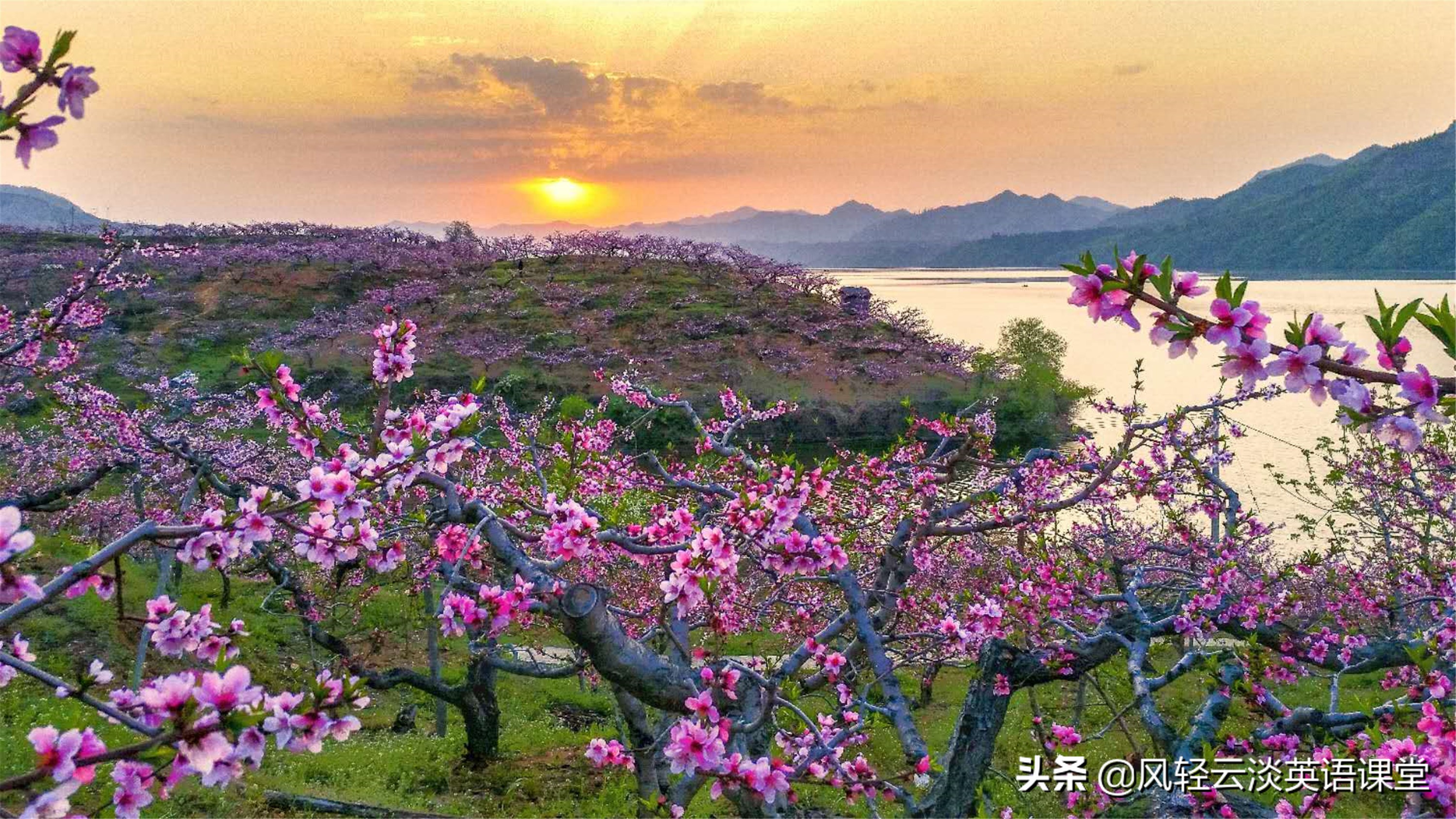 2020年高考作文三大热门题型，审题立意要注意什么？