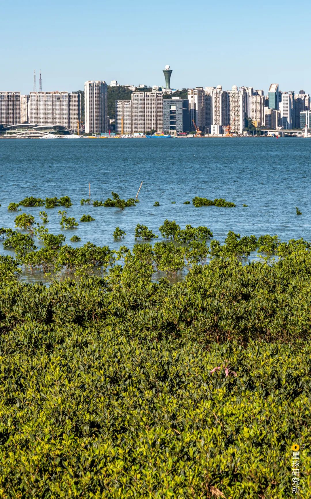 厦门：中国人的海上花园