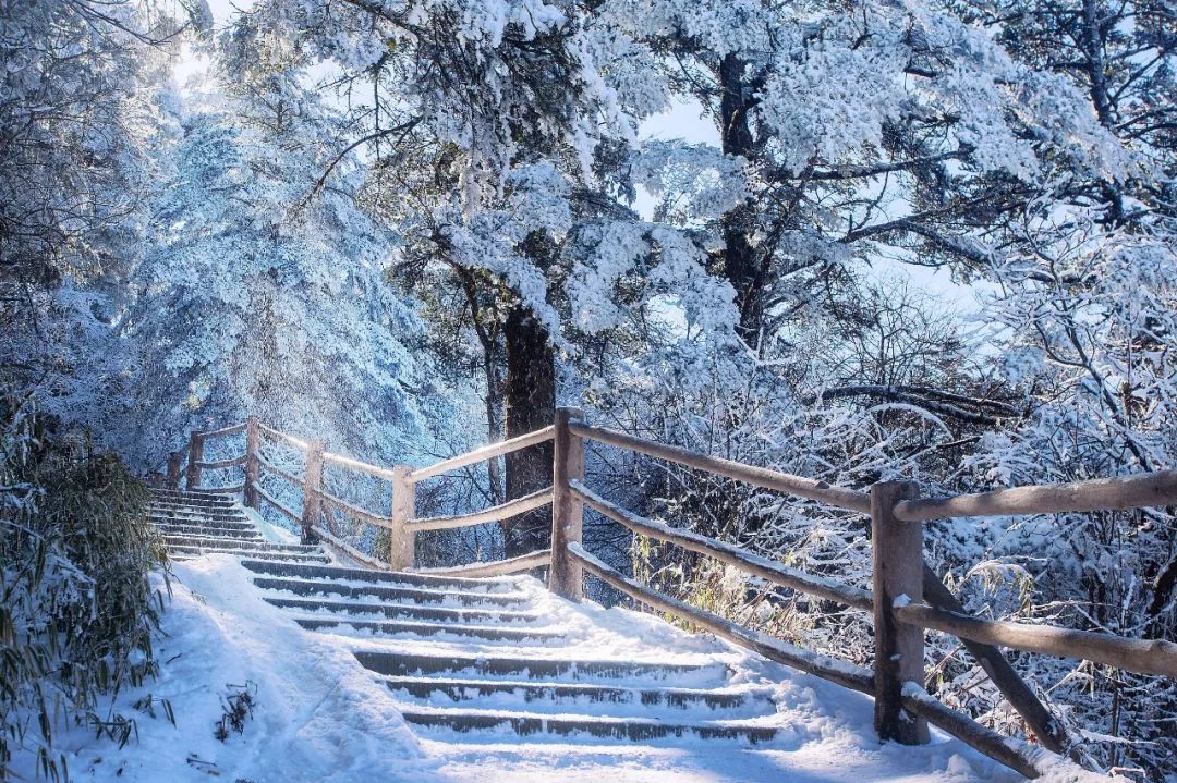 正式通知，峨眉山门票降价啦！现在去峨眉山，便宜50元/人