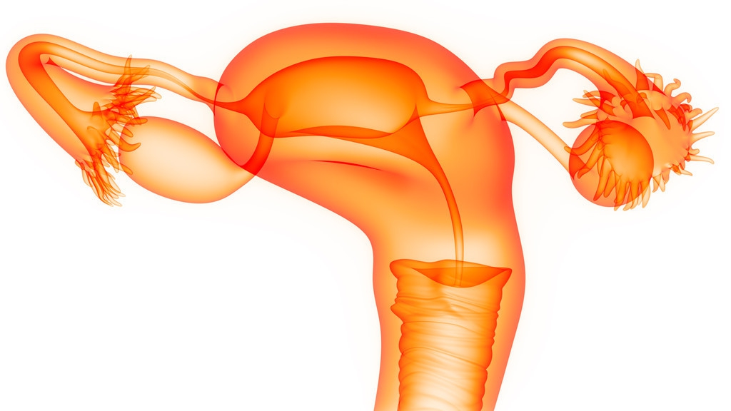 中医能看好卵巢早衰吗？恢复卵巢功能的中成药，建议收藏