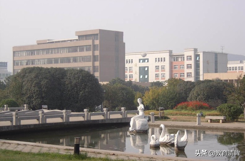 这个“四省接壤”的地级市，高校实力不容小觑，有一所排国内前50