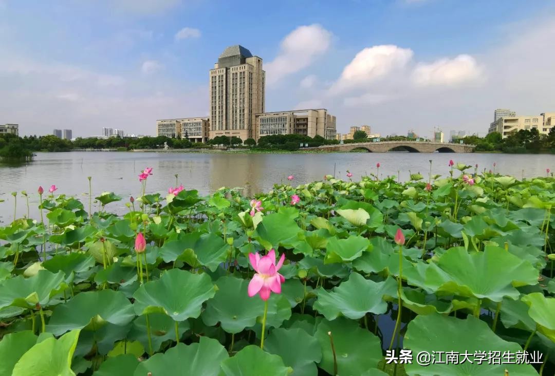 够实力！江苏这所211高校：15个专业入选