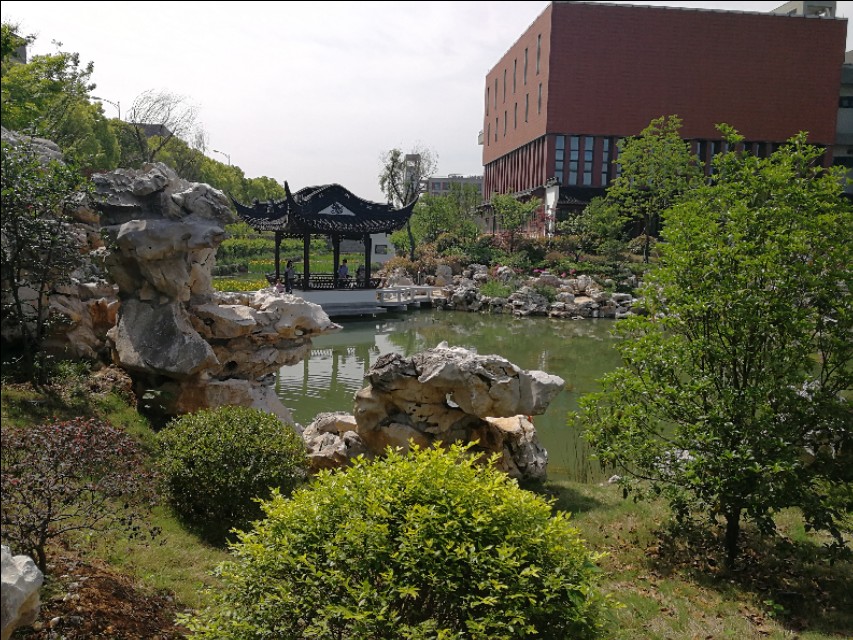 这里不仅有大树、高楼，更有大师——带你参观南京大学仙林校区