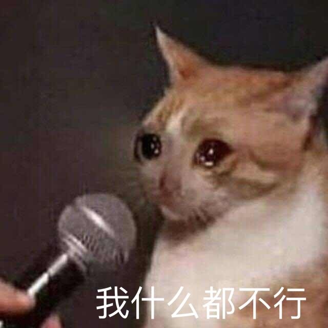 猫咪斗图表情包合集 你这是想干嘛呀