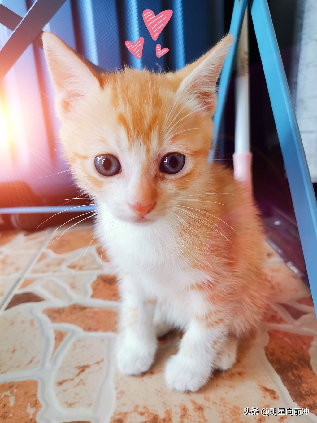 做一名练习生必需具备的条件（4）-家庭经济条件