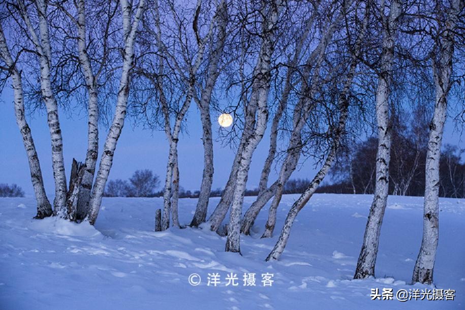 记忆里最美的冬日雪景，或许还是那片幽静美丽的白桦林