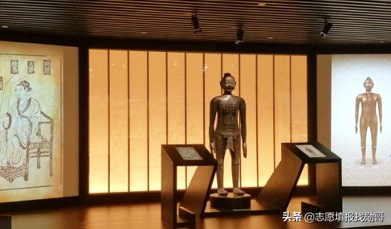 2017上海中医药大学录取分数线（这所大学实力强大）