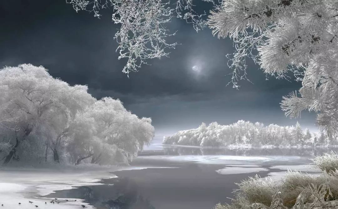 美文：在冬天里，踏雪寻梦……