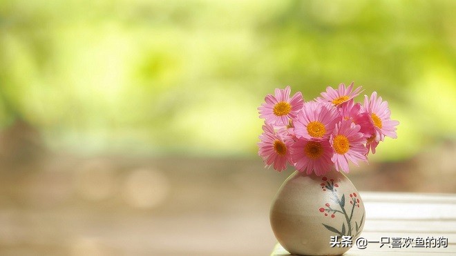 我，一个念旧的人，活的就像个拾荒者