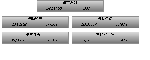 企业年度财务分析报告（案例分析）超详细