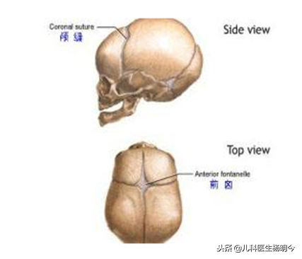 囟门闭合晚，宝宝缺钙？关于卤门闭合不得不说的理解误区