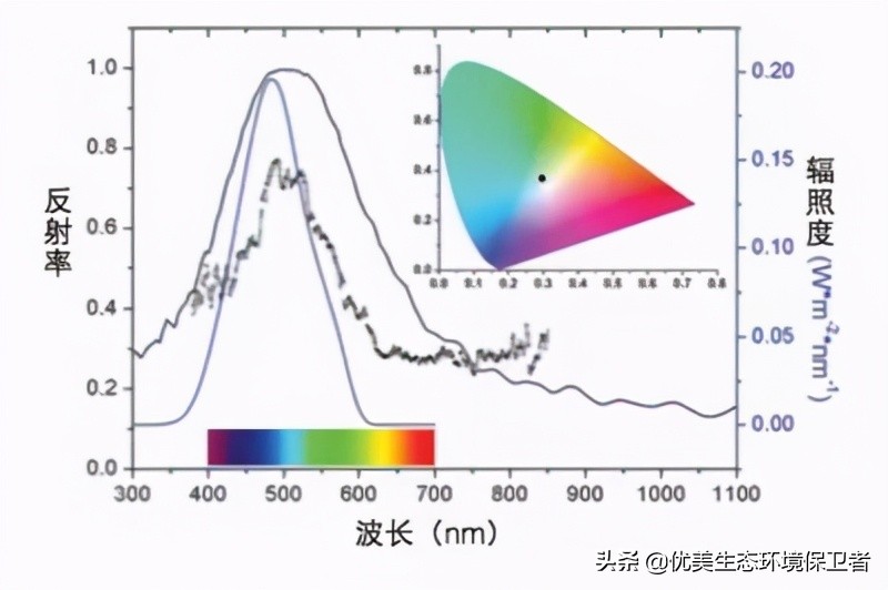 扇贝的眼睛在哪里（动物界的天文望远镜介绍）