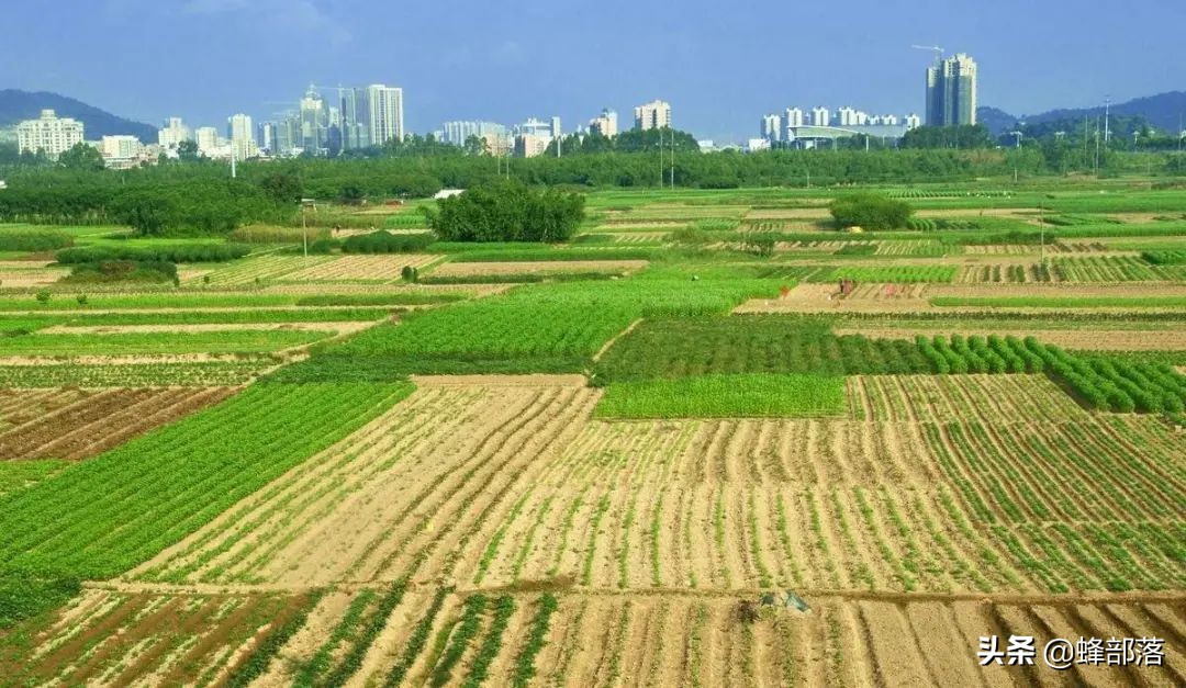 ​农村还没确权的土地怎么办？土地确权有4点作用，这些知识要知道