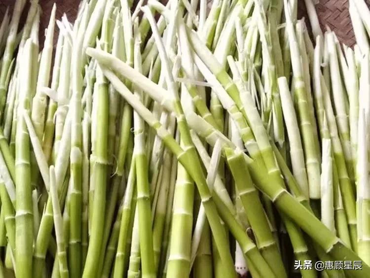 笋怎么做好吃（教你3种笋的美味家常做法）