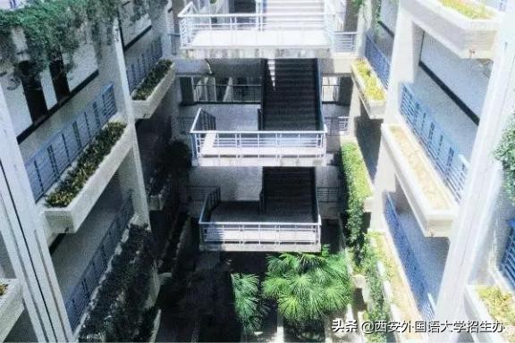 到底啥是佩奇？西安外国语大学这样回答