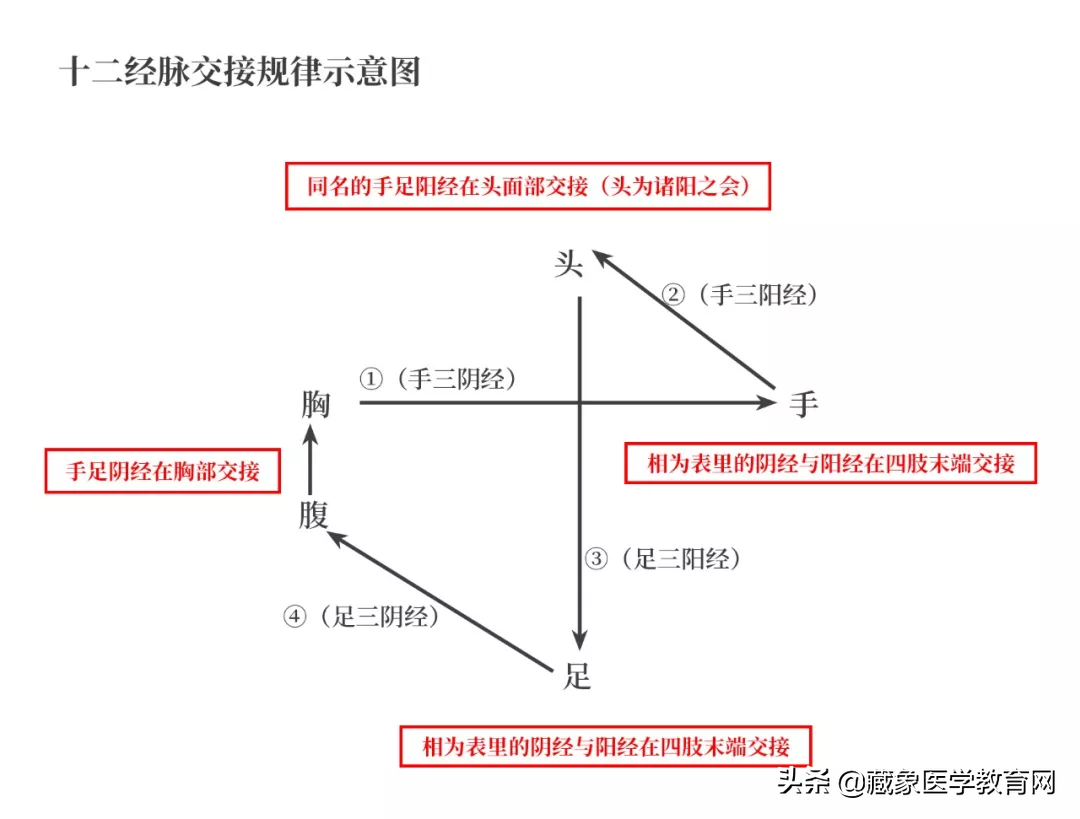 你了解经脉吗？十二经脉的位置、走向规律、交接规律及分布规律