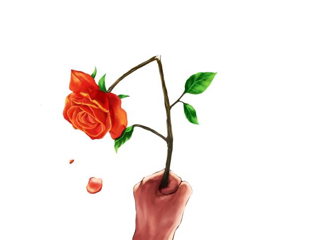 以《夜莺与玫瑰》为例，感悟童话故事的现实意义和爱情的四个真谛