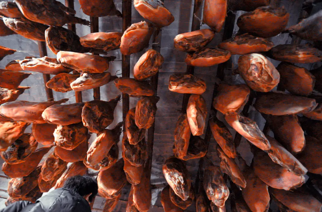 泸州美食推荐（泸州的特色美食及其介绍）