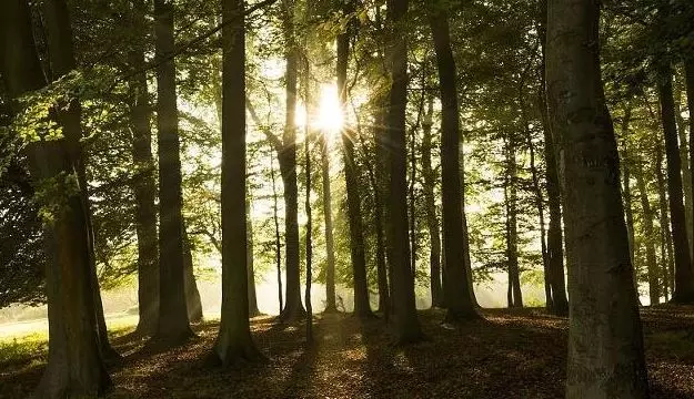 充满阳光智慧的句子：只有知足感恩，才能笑对人生