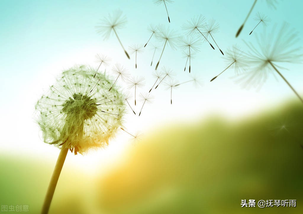 五味杂陈,人生的意义