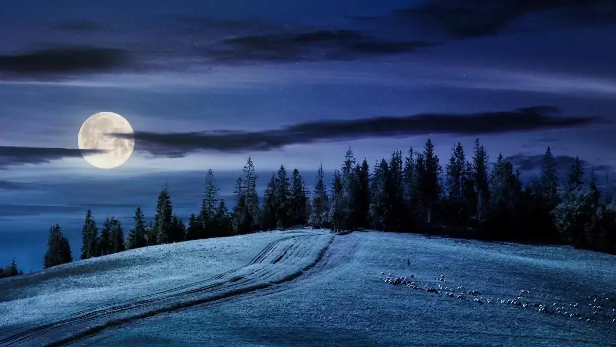 看懂了毛姆的《月亮與六便士》，才明白“心之所向，素履以往”