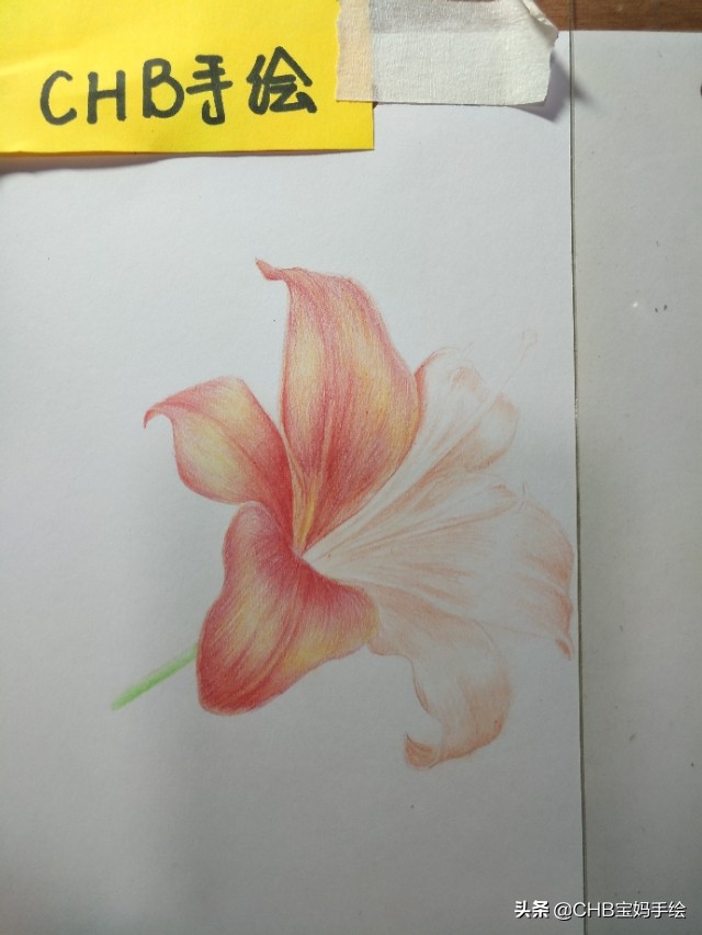 零基础入门教程教程：详细教你如何画一朵逼真的百合花