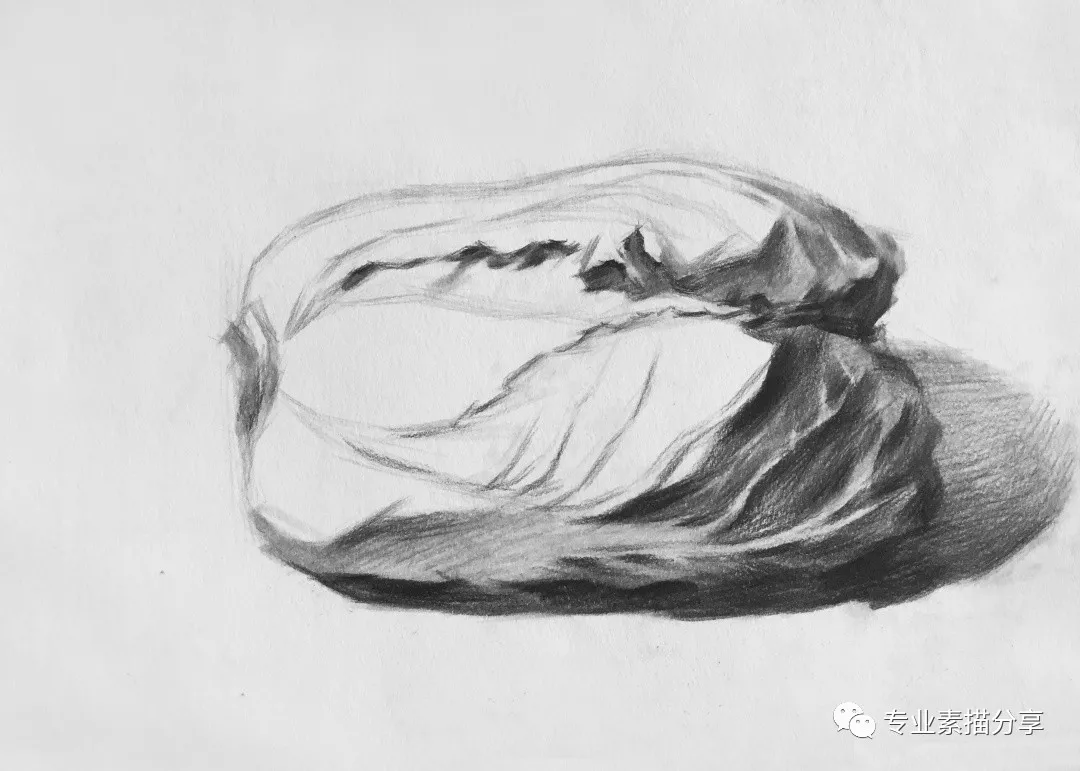 静物｜白菜画法与步骤