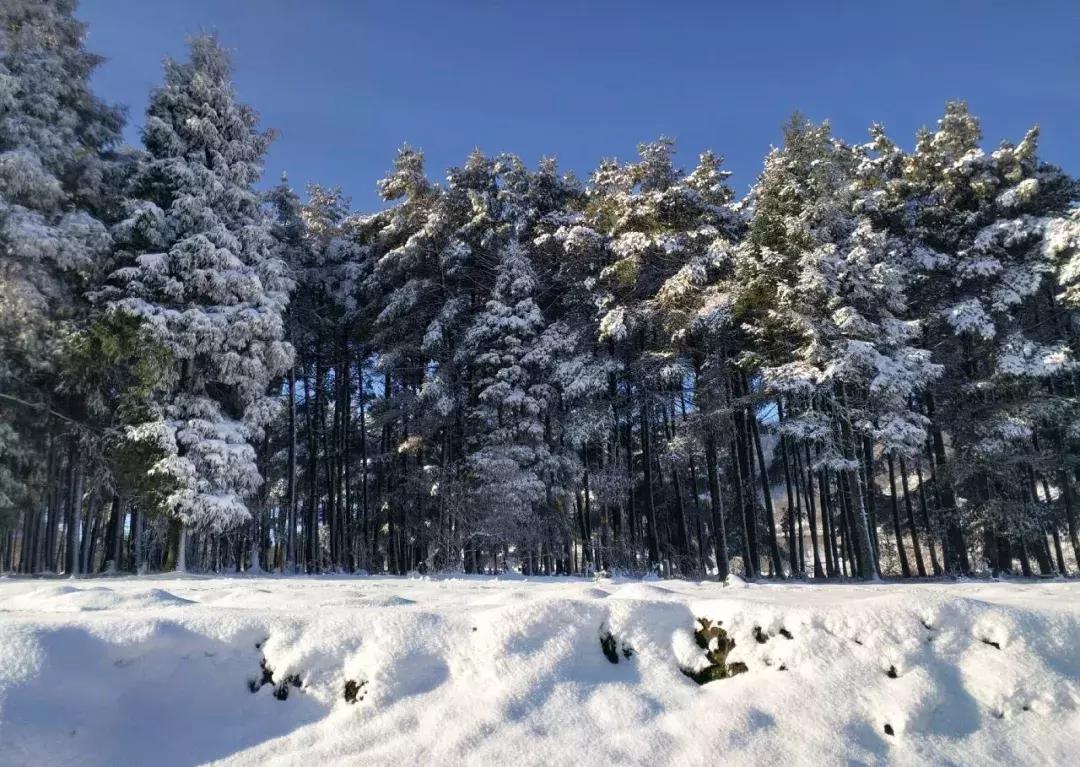 成都南边的冷门小县,私藏5处耍雪泡汤秘境,全免费,2天可来回!
