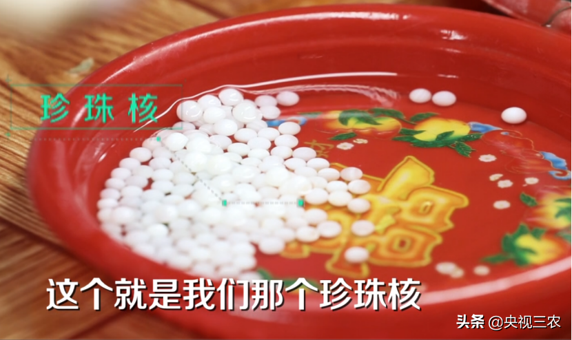 珍珠有不少秘密，看了这篇文，你就懂了