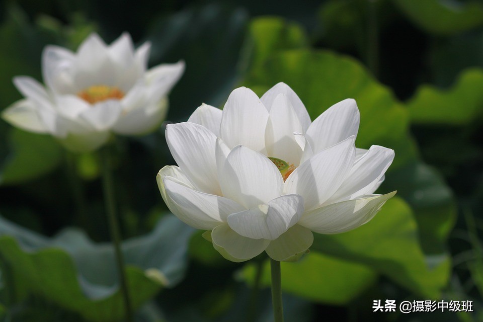 如何學(xué)習(xí)攝影？從業(yè)10年攝影師，揭秘5個速成的攝影技巧