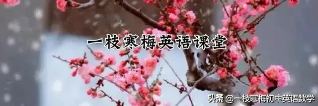20天速记中考英语1600词：高效背诵轻松掌握
