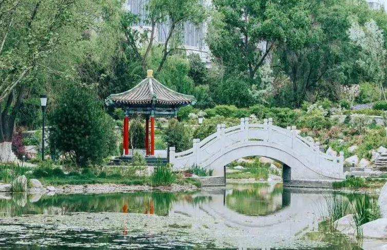 拥有表决权！近日，甘肃这位教授当选国际组织成员，全国仅3人