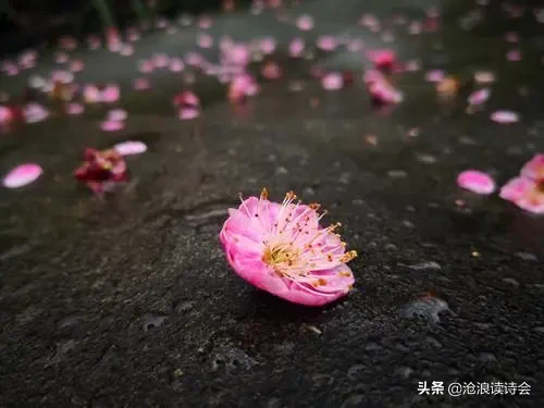 五月，你好！51首好诗送给流年，愿你风雨珍重，不负青春