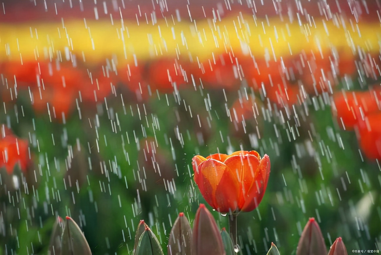 表达下雨天心情低落的情绪短句(20句下雨天心情不好的简短说说)