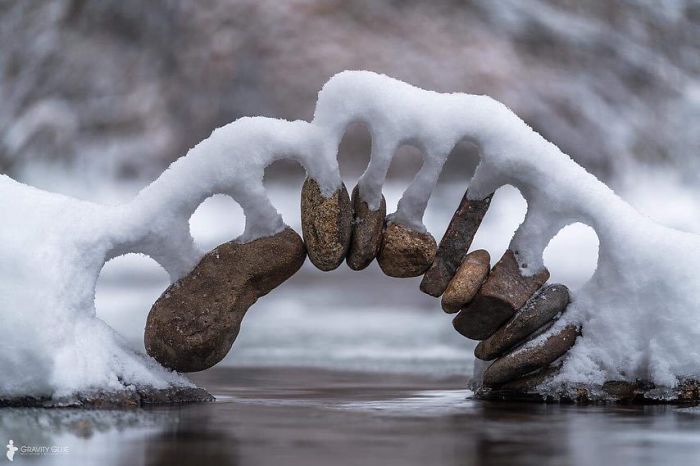 45张罕见的雪景照片：雪后的白菜地密集恐惧症慎入