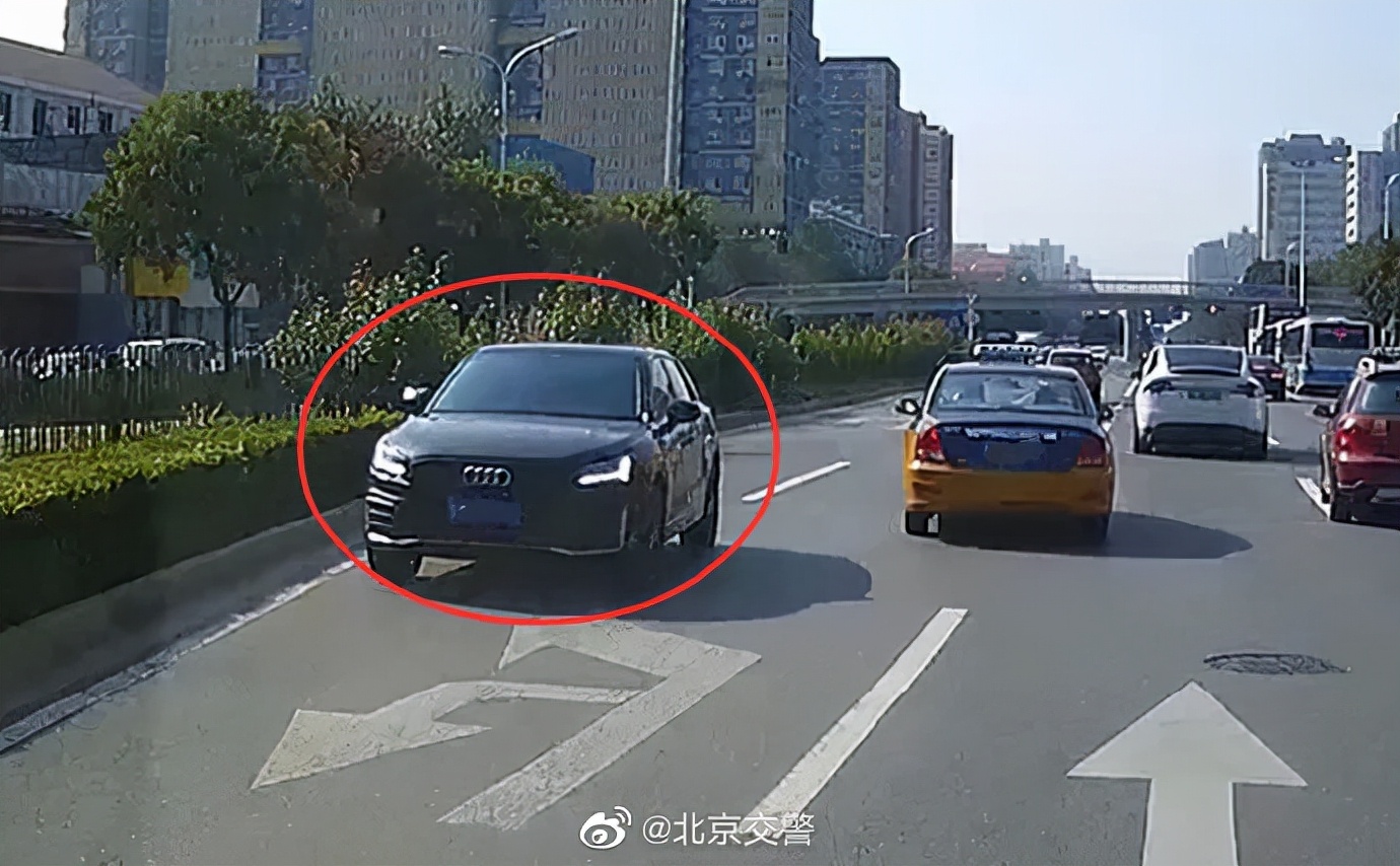 您“随手拍”举报的交通违法在这里！