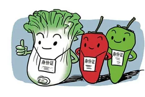 一起来了解《食品经营许可证》