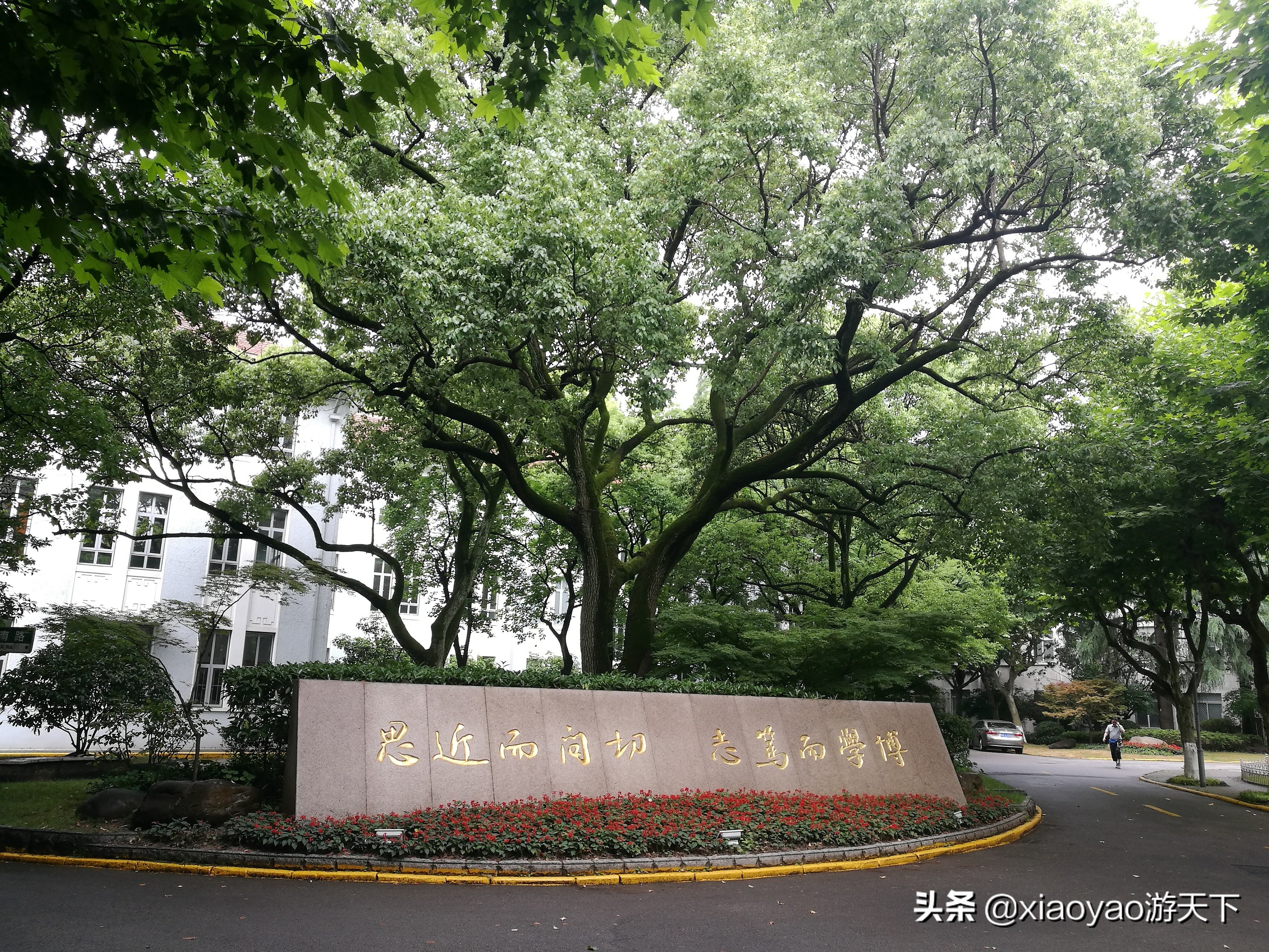 最美大学之旅——复旦大学