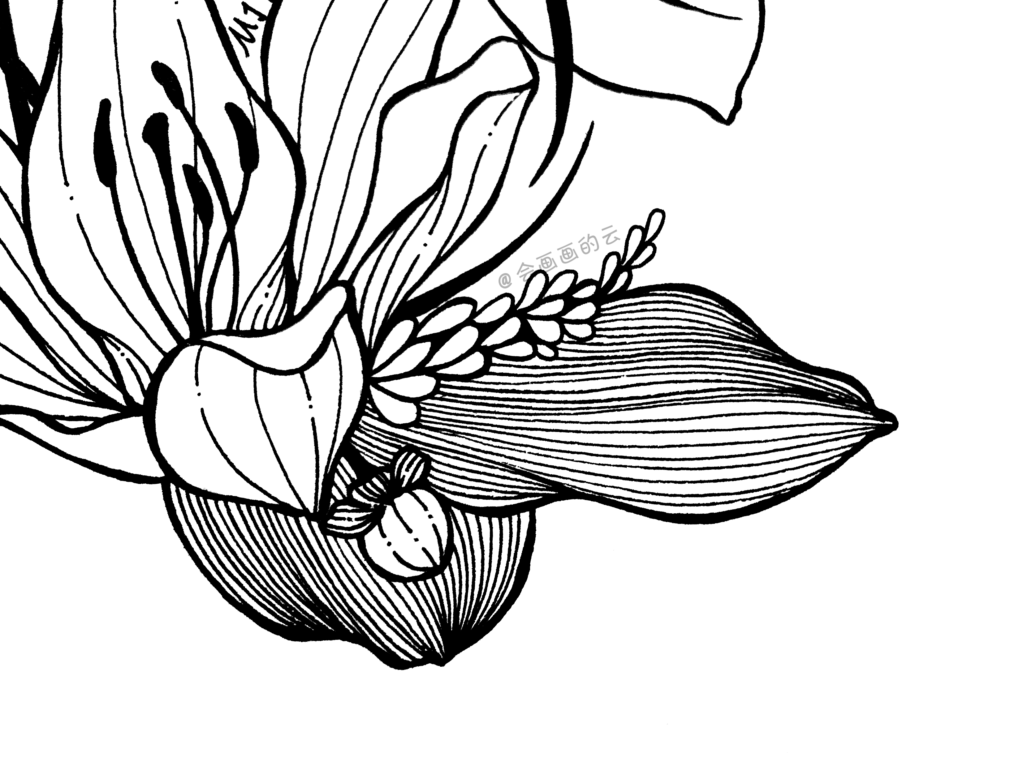 怎样画画又简单又好看(13步教你如何画好看简笔画)