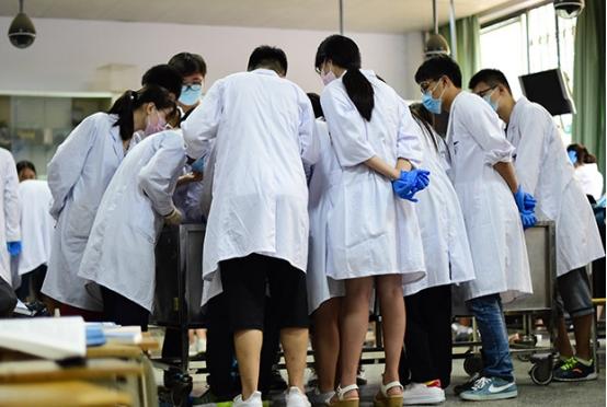 全国医学院前“三十强”排名，可分为4档，第一档大家耳熟能详