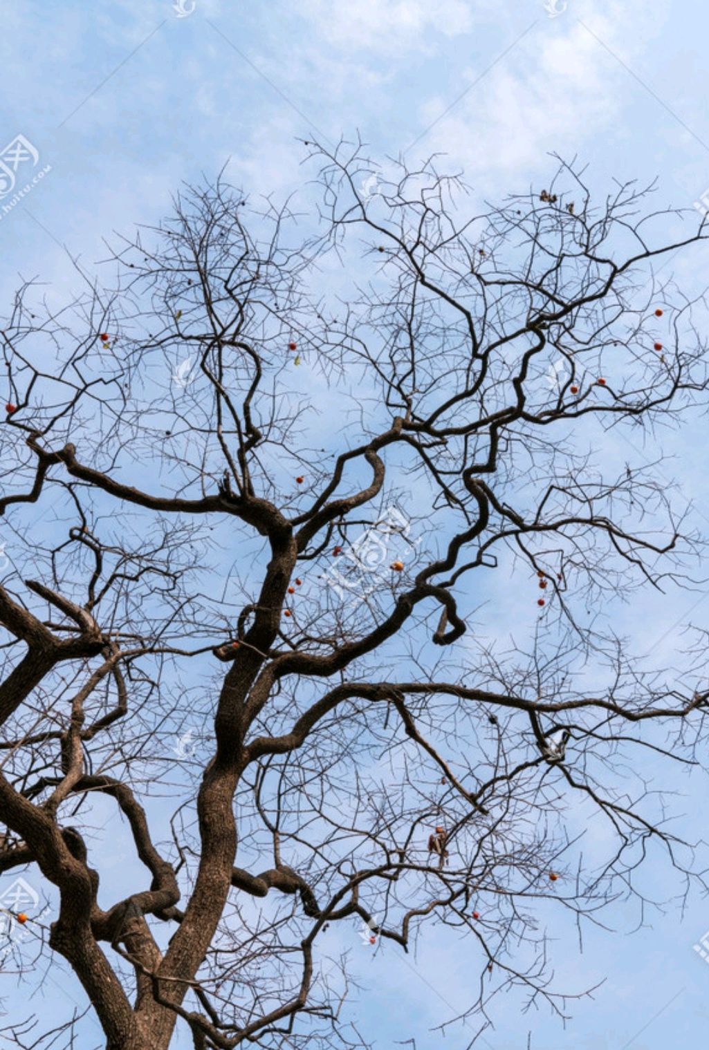 散文：心有阳光，必有诗与远方；心中有暖，何惧人生苍凉