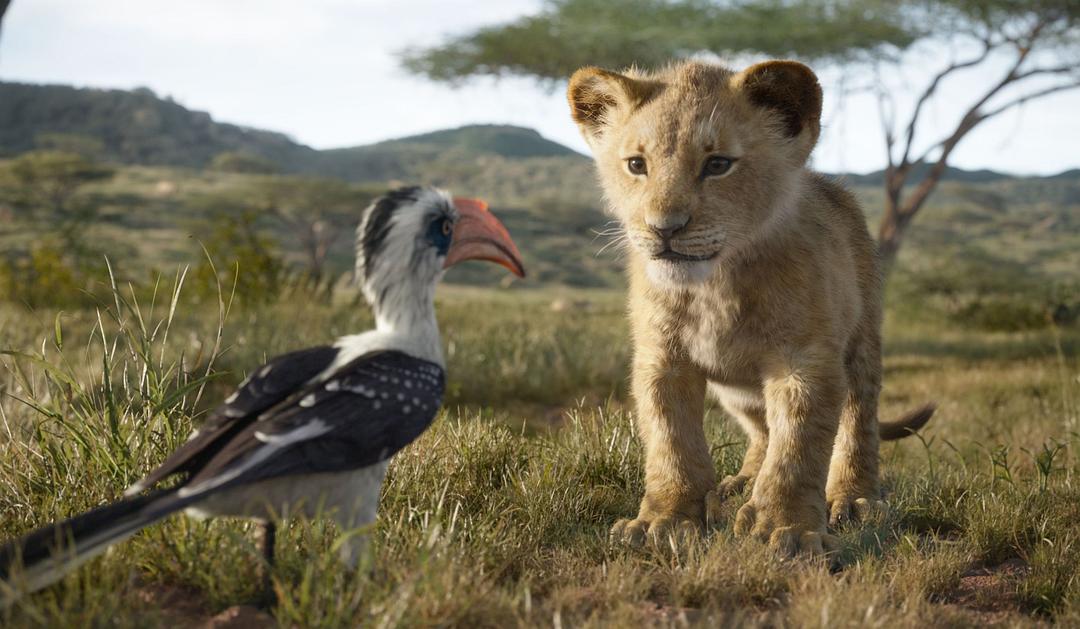 新版《狮子王》效果逼真堪比自然纪录片，却被有的观众吐槽“面瘫”