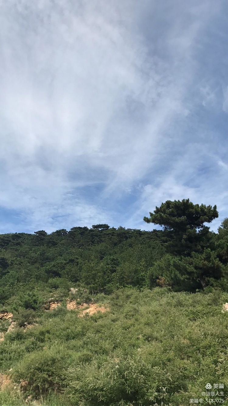 夏日登山汗如泉