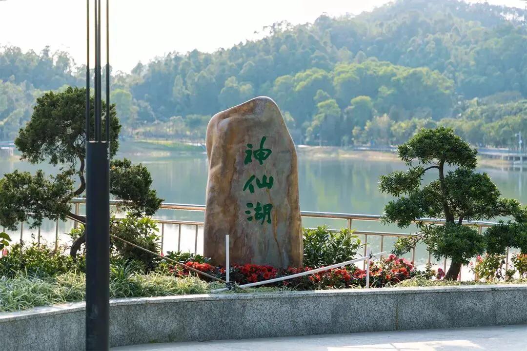 深圳十大免费特色的湖泊公园