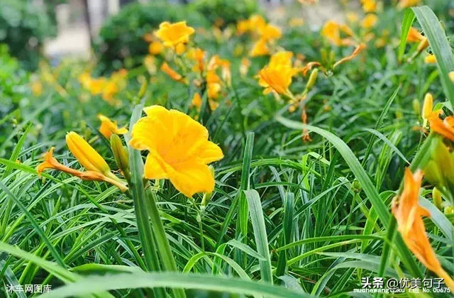 至爱亲情：血脉相连的温暖与永恒守护